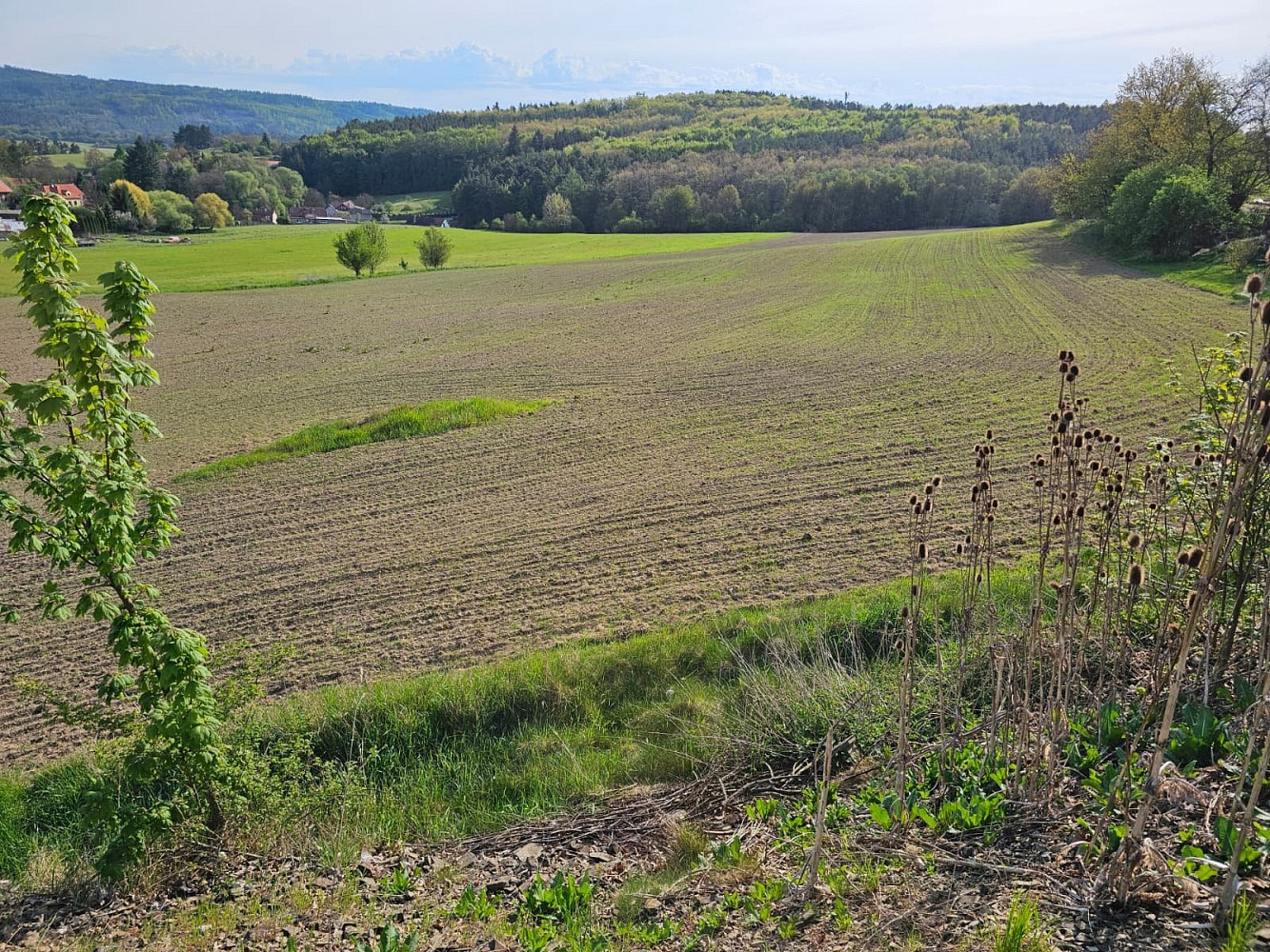 Prodej pole 19 116 m² — photo 4