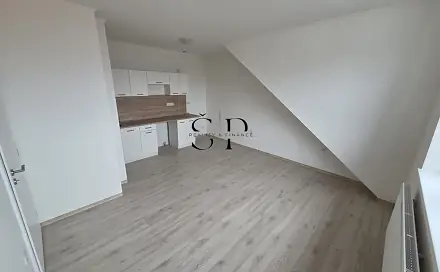 Pronájem bytu 1+1 41 m², Mariánské náměstí, Černovice, okres Pelhřimov