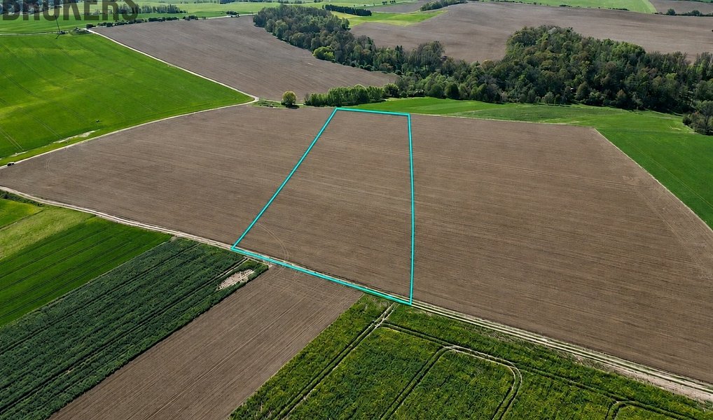Prodej pole 30 796 m², Turovice – náhled fotky 2