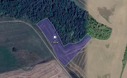 Prodej louky 5 786 m², Radnice, okres Rokycany