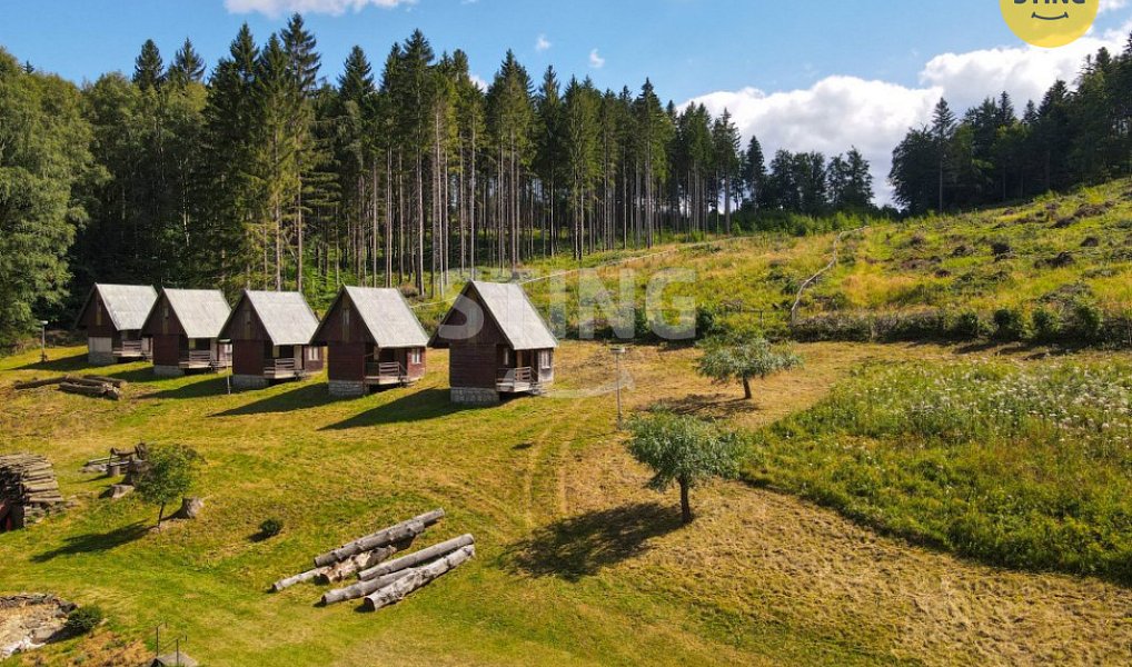 Prodej domu 500 m² s pozemkem 9 467 m², Česká Ves – náhled fotky 6