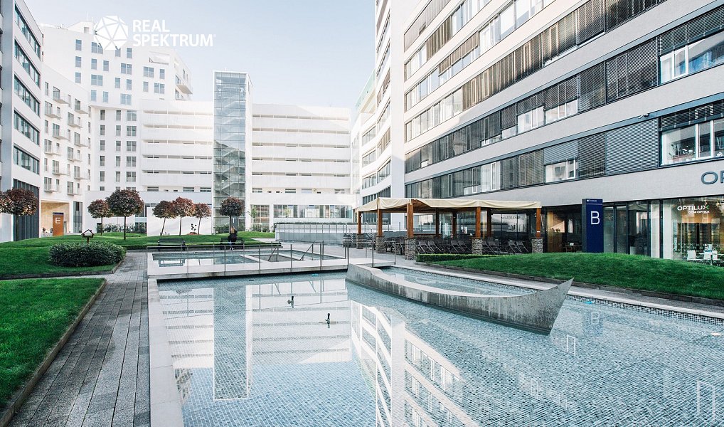 Pronájem kanceláře 280 m², Brno – náhled fotky 7