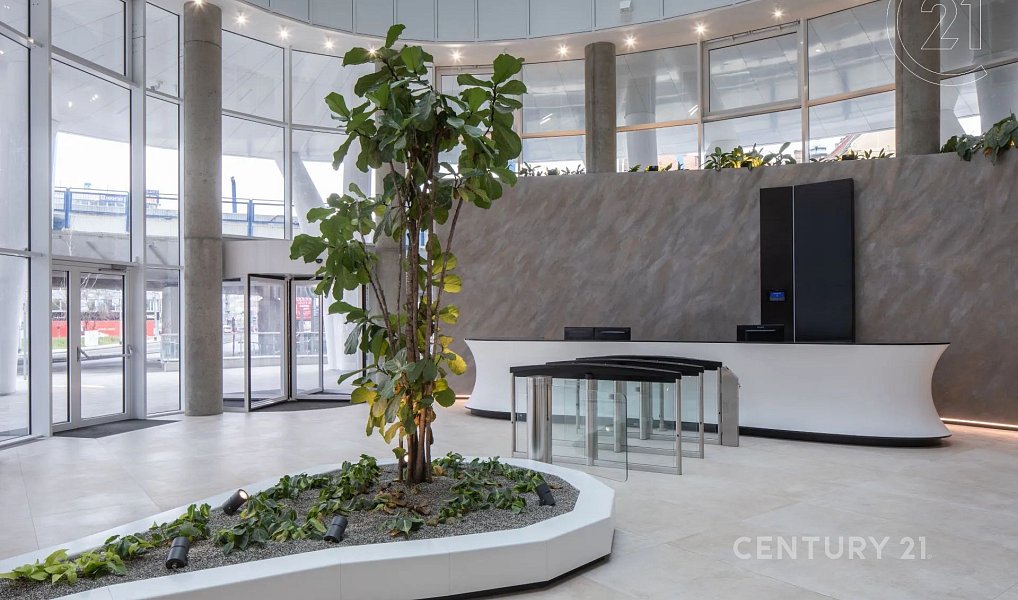 Pronájem kanceláře 454 m², Praha – náhled fotky 6