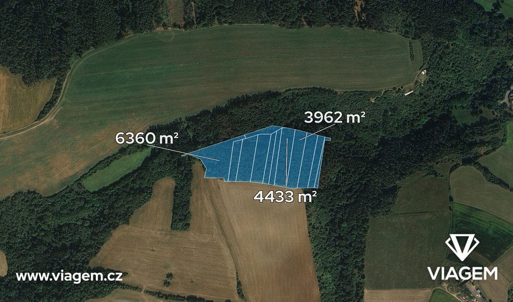 Prodej lesa 1 915 m², Pavlíkov – náhled fotky 2