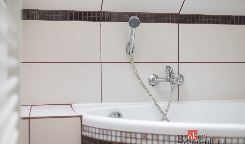 Prodej domu 261 m² s pozemkem 1 916 m², Rudná pod Pradědem – náhled fotky 16