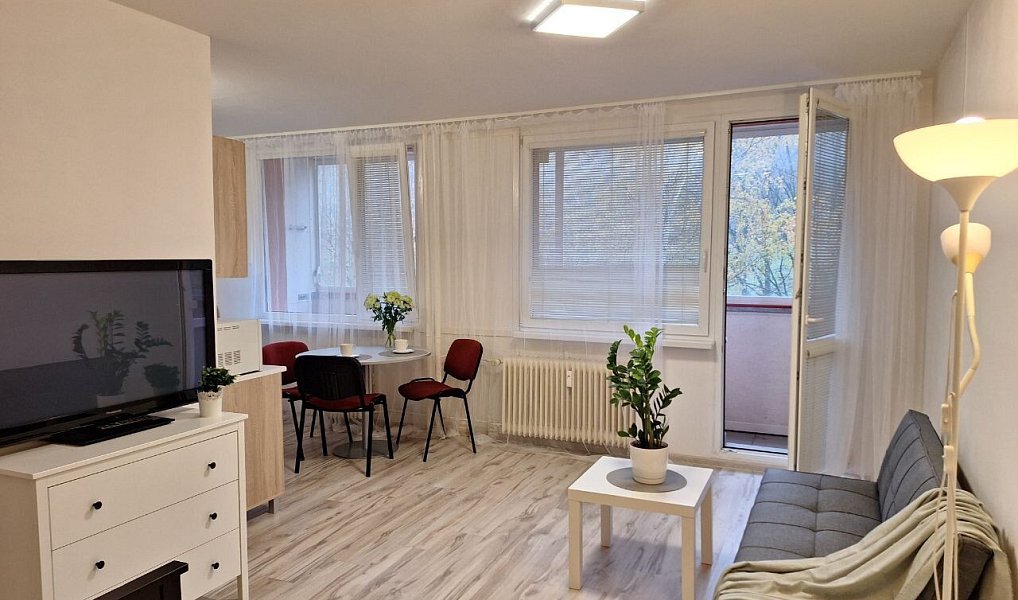 Pronájem bytu 1+kk 34 m², Most – fotka 1 z 5