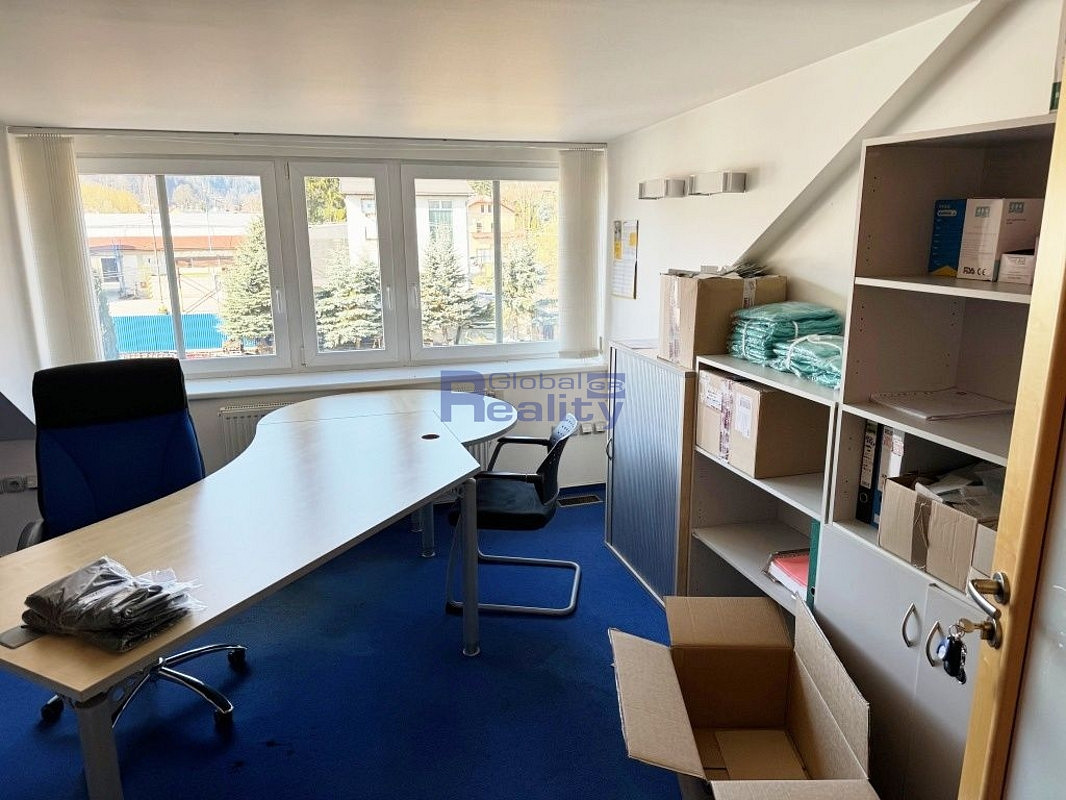 Prodej výrobních prostor 980 m² – další