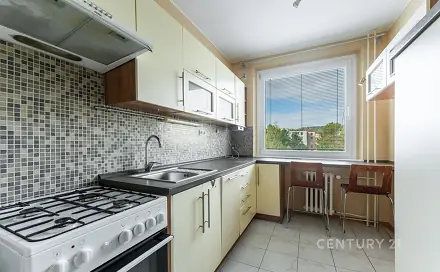 Prodej bytu 4+1 89 m², Dr. Horákové, Ústí nad Labem - Krásné Březno