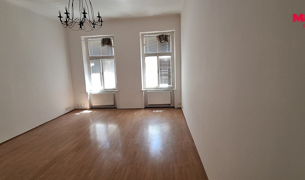 Pronájem bytu 1+1 55 m², Praha – náhled fotky 4