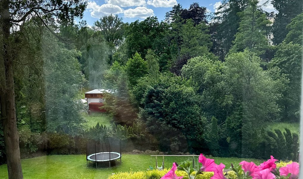 Prodej ubytovacího objektu 616 m², Mariánské Lázně – náhled fotky 10