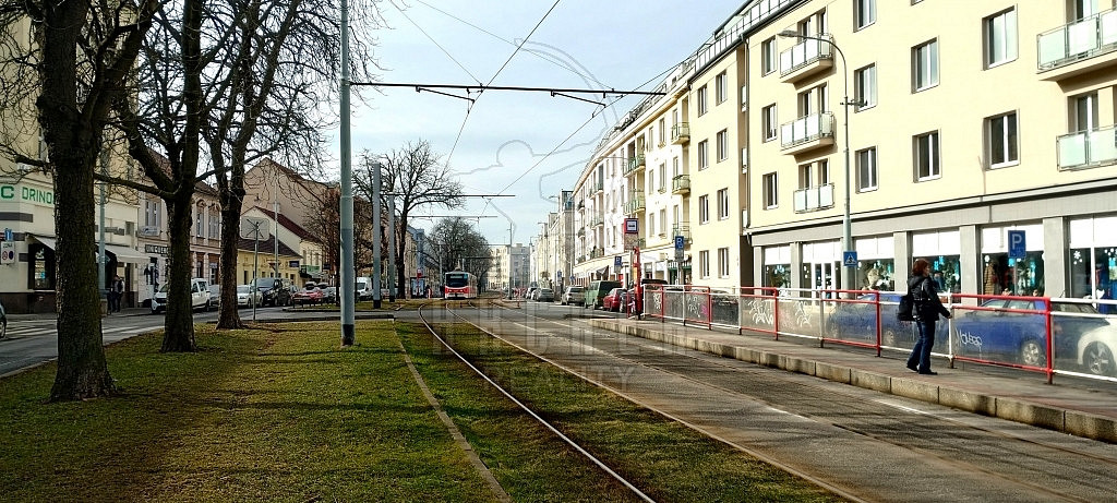 Fotka 9 z 13