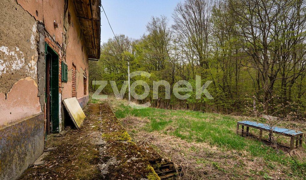 Prodej domu 210 m² s pozemkem 3 984 m², Březnice – náhled fotky 3