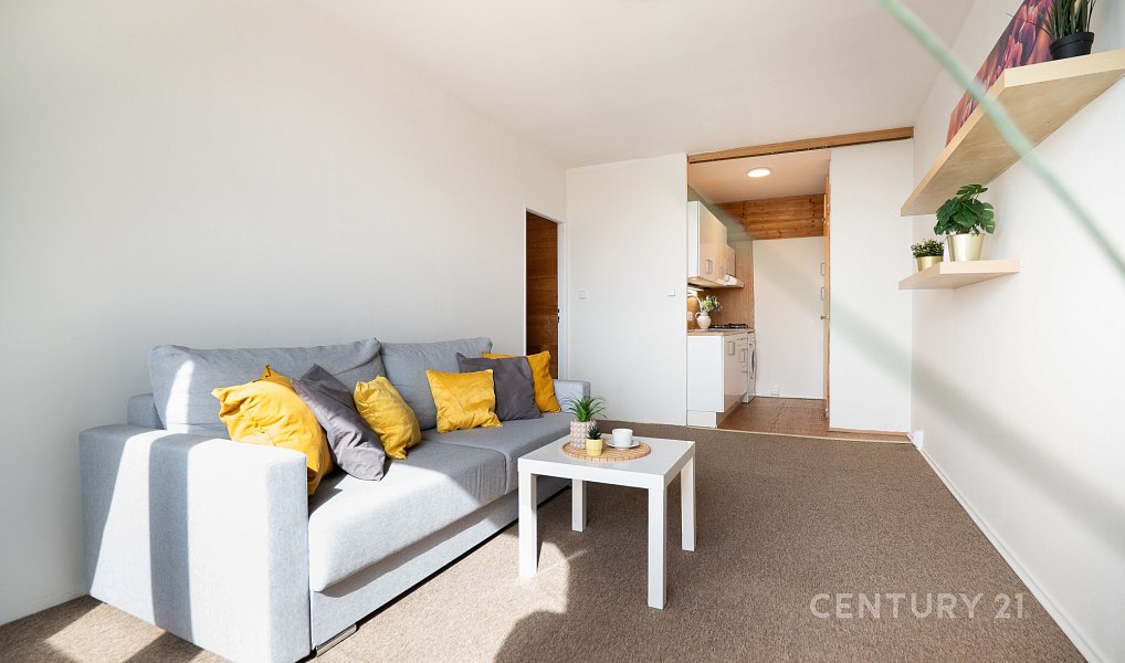 Prodej bytu 2+kk 44 m², Praha – náhled fotky 2
