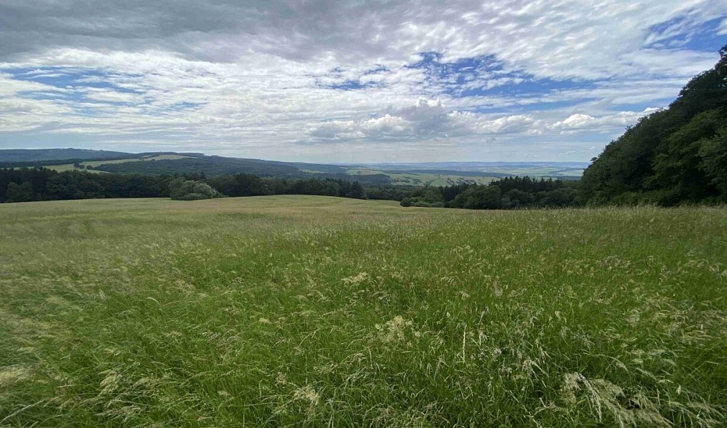 Dražba louky, 7545 m², Uherské Hradiště, Strání