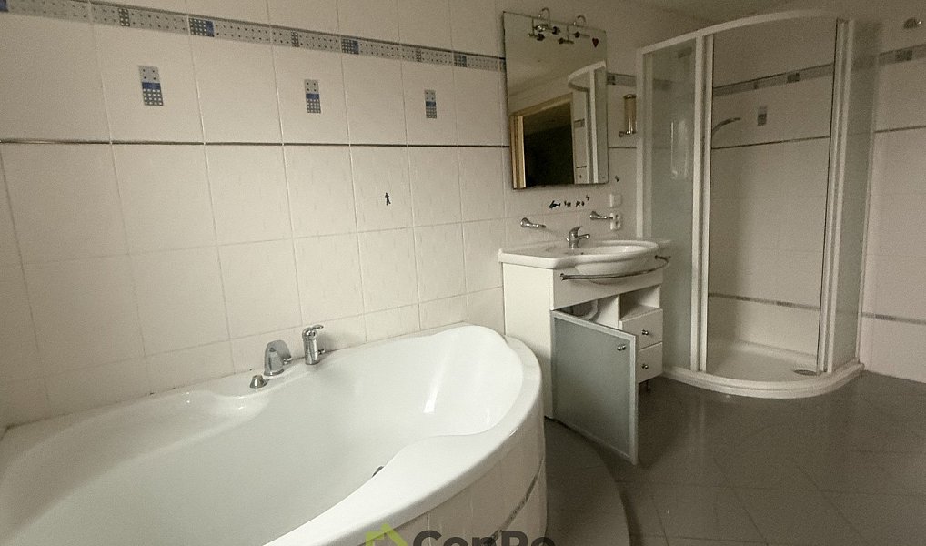 Prodej bytu 4+1 94 m², Doudleby nad Orlicí – náhled fotky 13