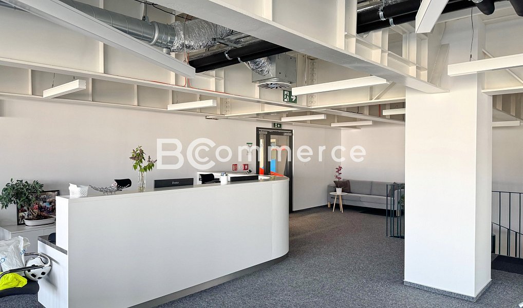 Pronájem kanceláře 570 m², Brno – náhled fotky 3