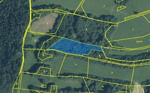 Prodej lesa 3 916 m², Nový Jičín - Straník