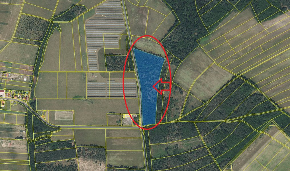 Prodej lesa 2 638 m², Černěves – náhled fotky 19
