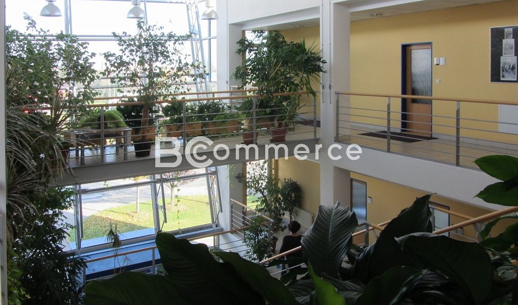 Pronájem kanceláře 24 m², Brno – náhled fotky 8