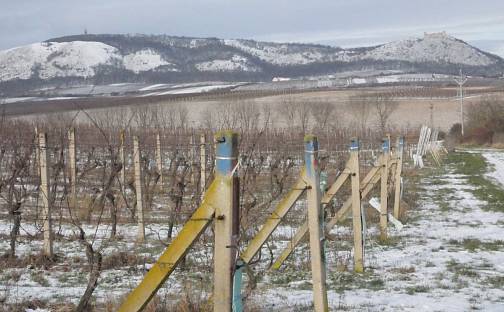 Prodej pozemku 8 406 m², Milovice, okres Břeclav