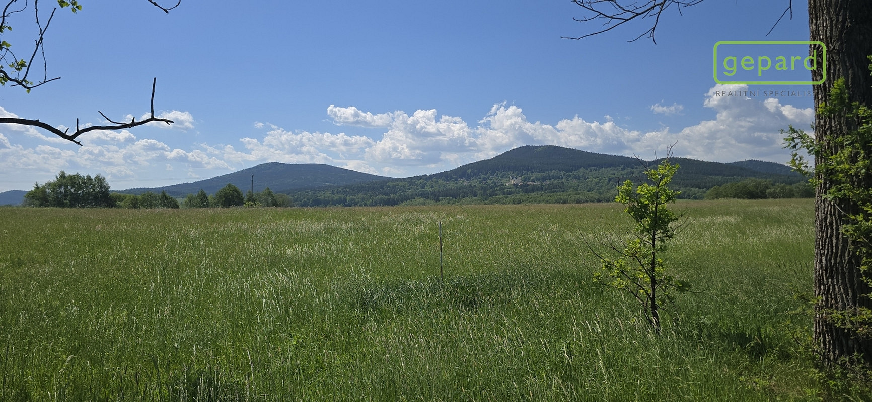 Prodej stavebního pozemku 7 197 m² – fotografie 2