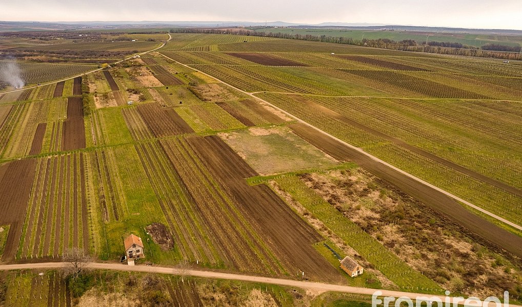 Prodej stavebního pozemku 3 646 m², Moravský Žižkov – náhled fotky 6