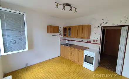 Pronájem bytu 1+1 41 m²