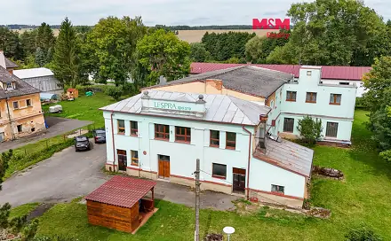 Prodej obchodních prostor 1 100 m², Černošín, okres Tachov