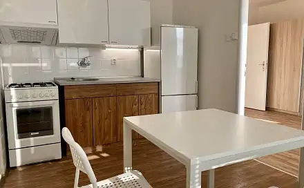 Pronájem bytu 1+1 39 m²