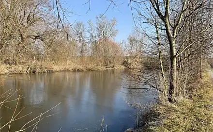 Pronájem vodní plochy 6 501 m², Bystročice, okres Olomouc