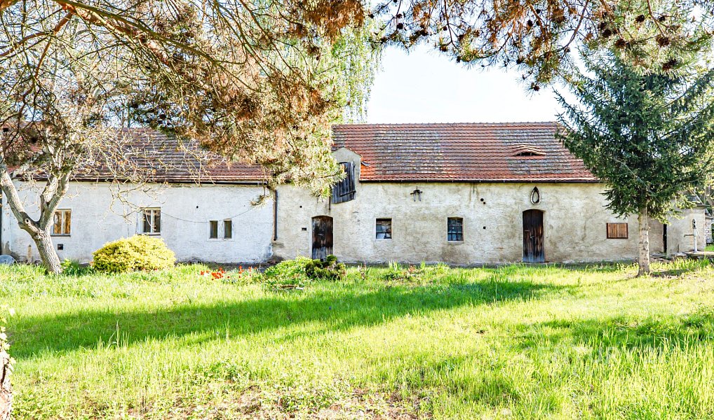 Prodej chaty/chalupy 260 m² s pozemkem 4 006 m², Budyně nad Ohří – náhled fotky 5