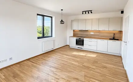 Pronájem bytu 2+kk 55 m², Lesík, Kladno