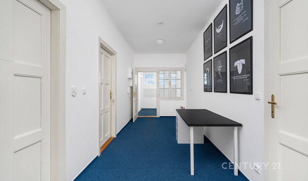Pronájem kanceláře 140 m², Brno – náhled fotky 8