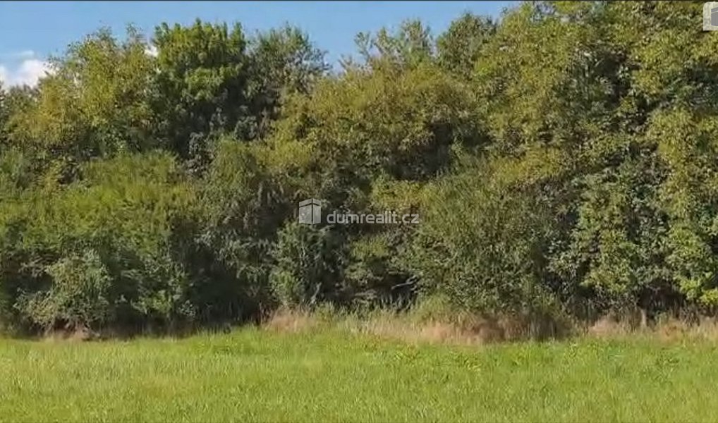 Prodej zahrady 1 141 m², Hranice – náhled fotky 7