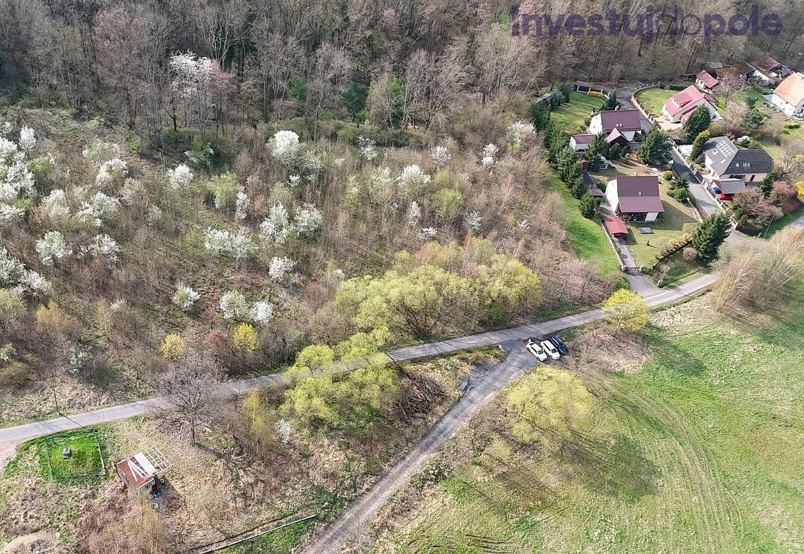 Prodej stavebního pozemku 8 600 m² – fotografie 3