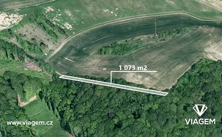 Prodej lesa 1 073 m², Snovídky, okres Vyškov