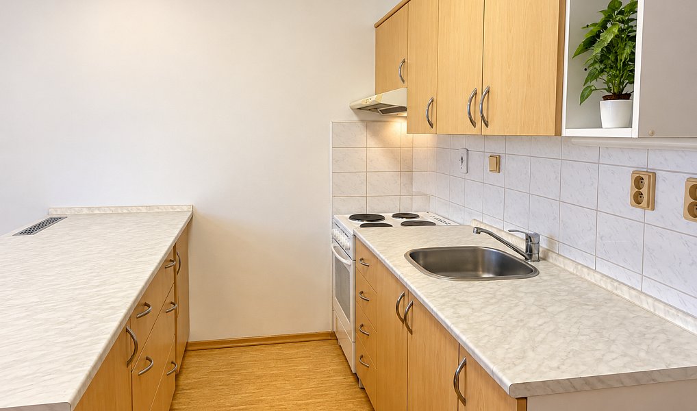 Pronájem bytu 1+kk 48 m², Opočno – náhled fotky 4