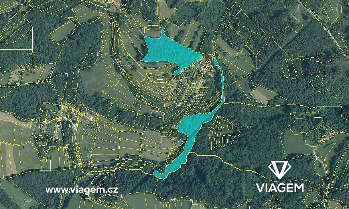 Prodej lesa 4 590 m²