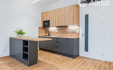 Pronájem obchodních prostor 48 m², Komárovská, Brno - Komárov
