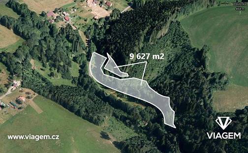 Prodej lesa 4 567 m², Stružinec, okres Semily