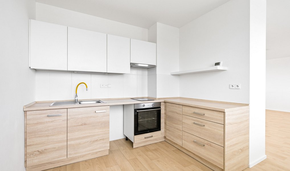 Pronájem bytu 1+1 66 m², Plzeň – náhled fotky 2