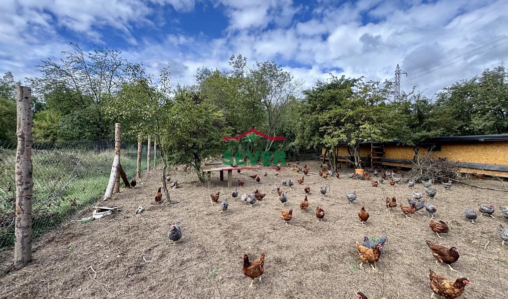 Prodej komerčního pozemku 10 231 m², Litvínov – náhled fotky 3