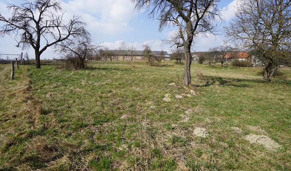 Prodej stavebního pozemku 1 964 m², Brzice – náhled fotky 6
