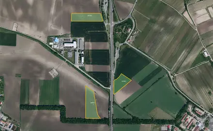 Prodej pole 69 111 m², Perná, okres Břeclav