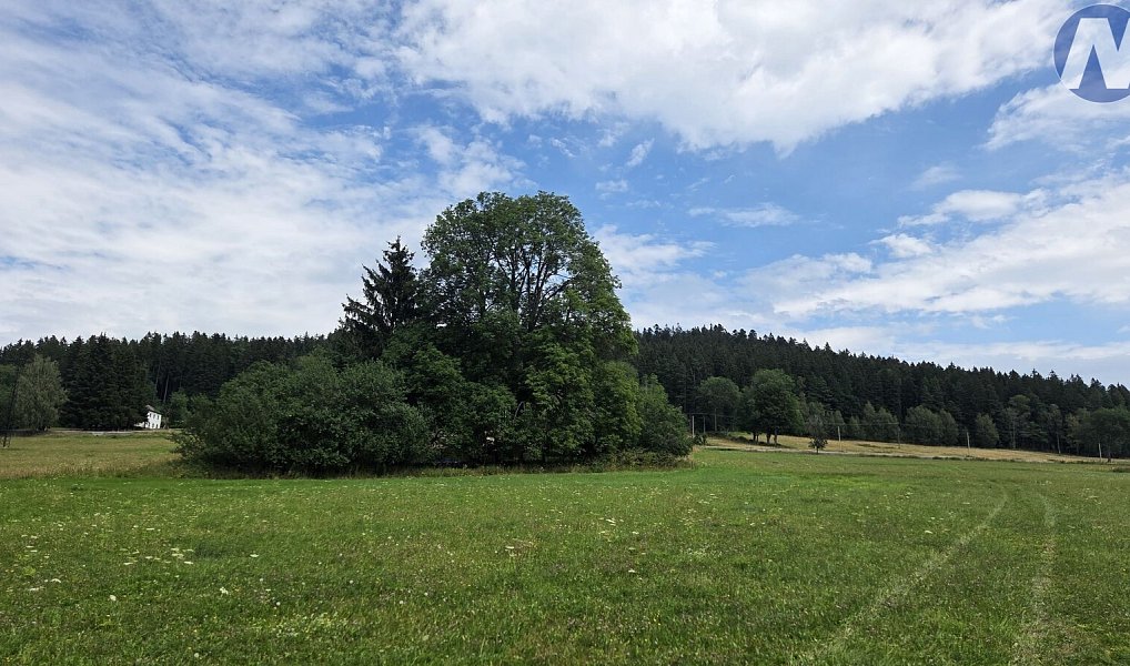 Prodej stavebního pozemku 2 165 m², Nová Pec – náhled fotky 21