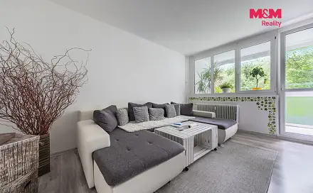 Prodej bytu 3+1 62 m², Družstevní, Kraslice, okres Sokolov