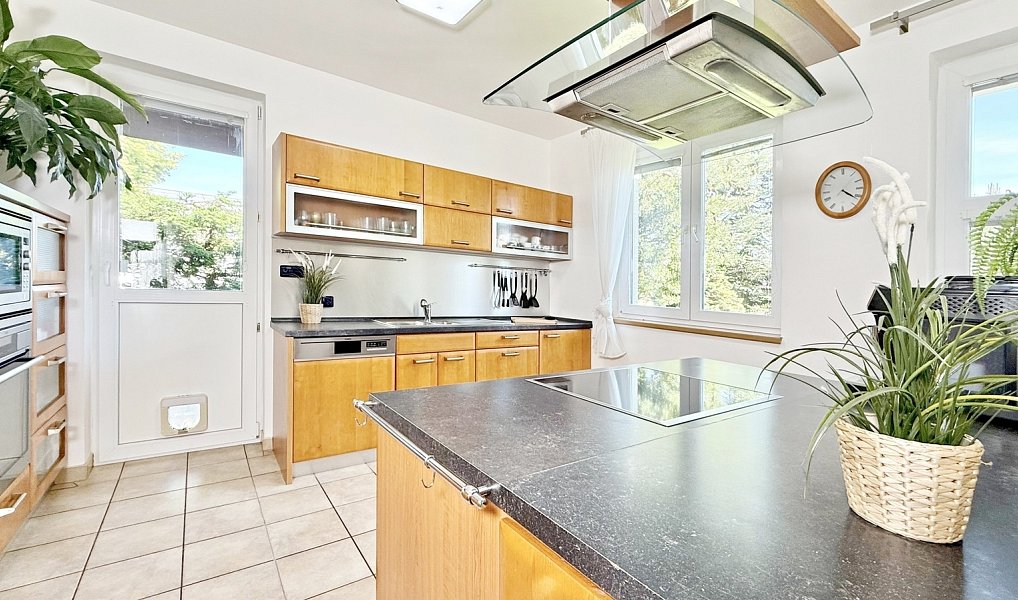 Prodej domu 263 m² s pozemkem 1 012 m², Brno – náhled fotky 16