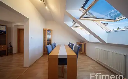 Prodej bytu 4+1 146 m², Botanická, Brno - Ponava