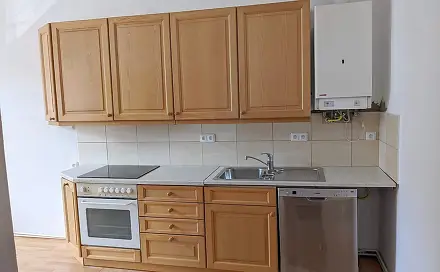 Pronájem bytu 1+1 50 m², Těšínská, Opava - Předměstí