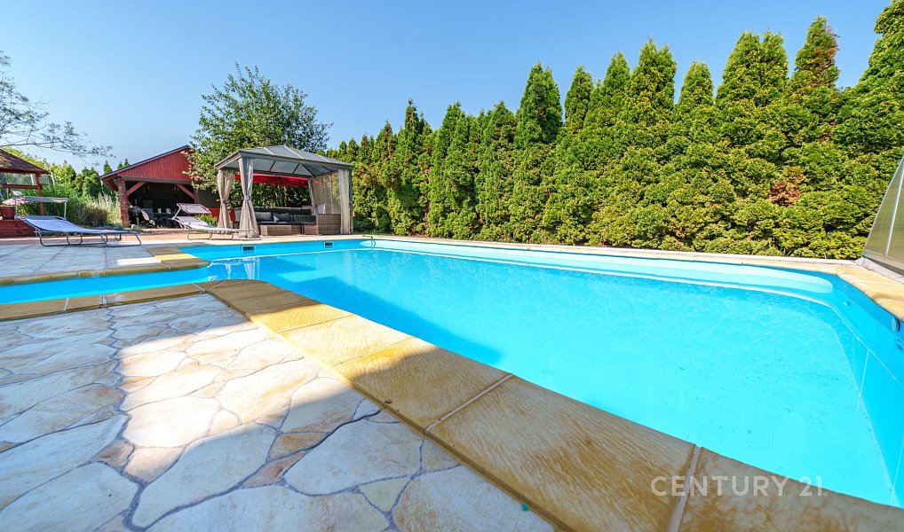 Prodej domu 545 m² s pozemkem 2 148 m², Chlumčany – náhled fotky 4